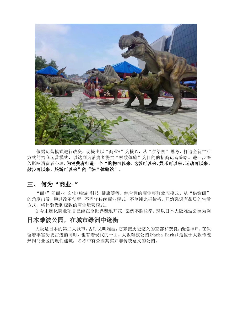商业地产招商运营分析_第2页