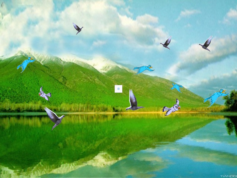 两位数加减两位数 (2)_第2页