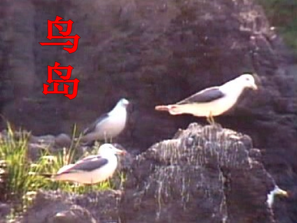 两位数加减两位数 (2)_第3页