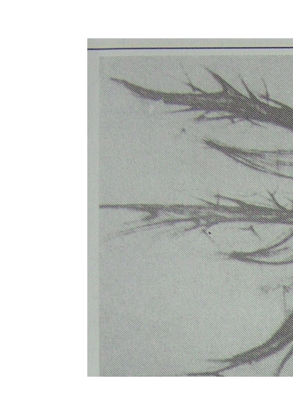 设计素描教案_第3页