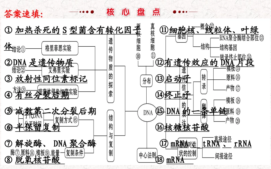 专题七遗传的分子基础_第3页