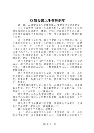 XX镇爱国卫生管理制度