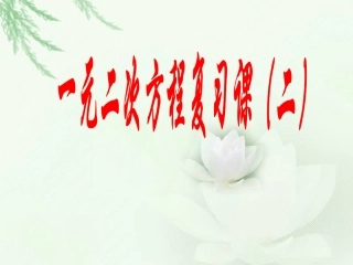 一元二次方程的复习（二）2[1][1]3-24