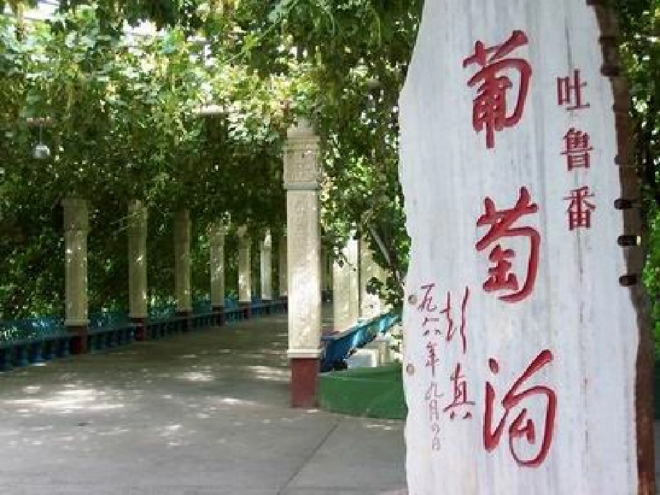 葡萄沟课件 (2)_第3页