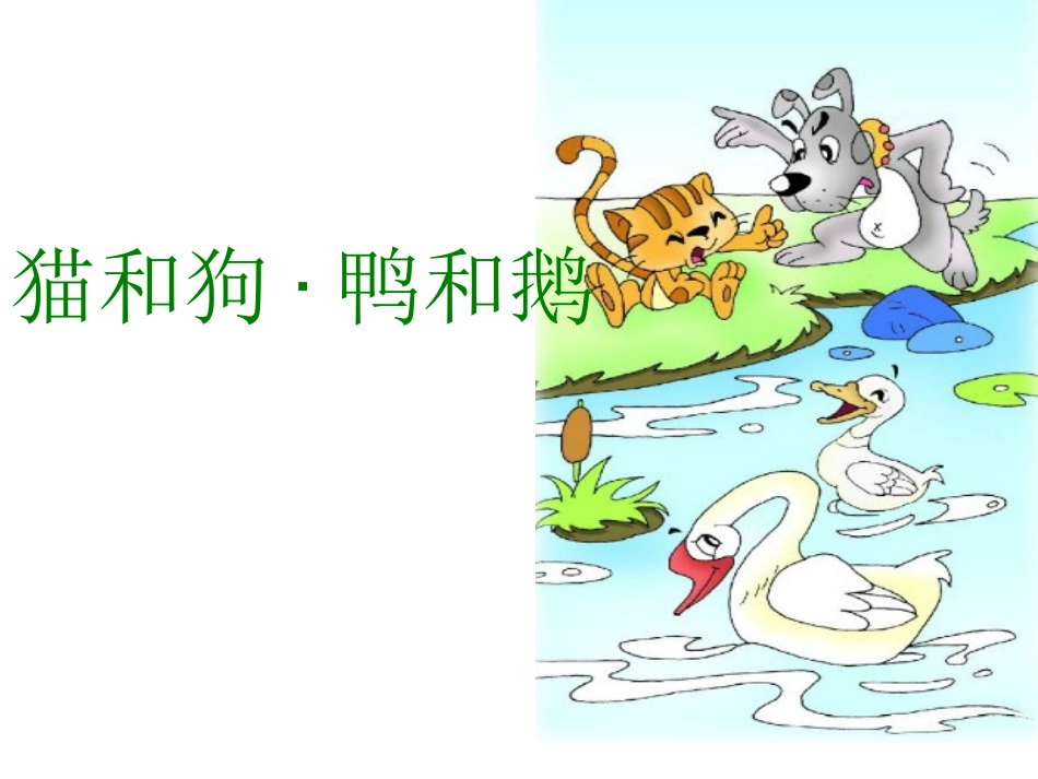 猫和狗·鸭和鹅_第1页