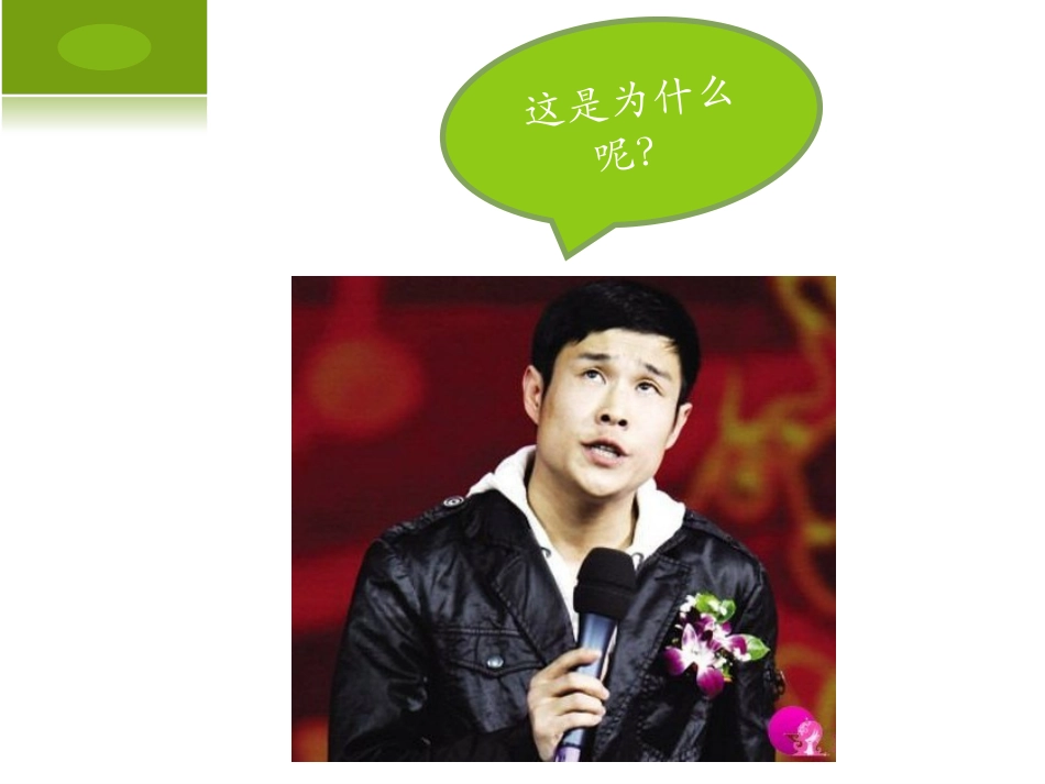 项目管理PPT_第3页