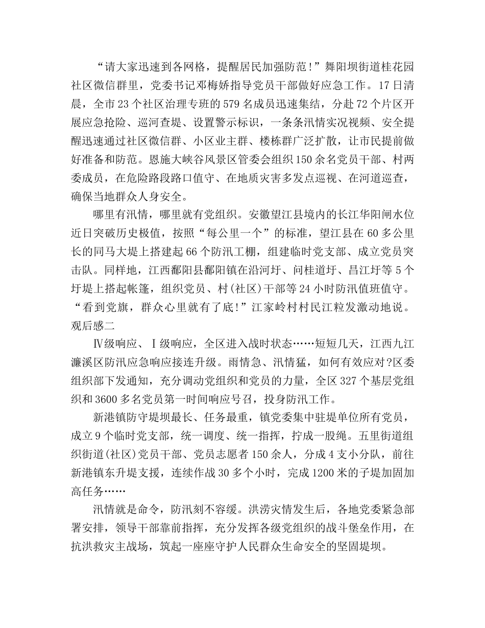 观看党旗飞扬_抗洪个人有感 _第2页