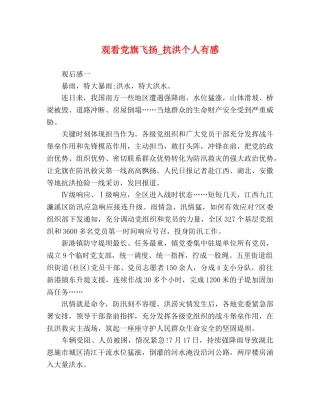 观看党旗飞扬_抗洪个人有感 