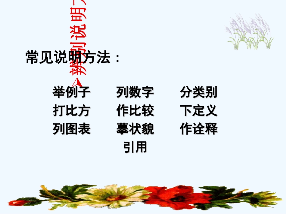 中考语文复习专题课件 说明方法及作用_第2页