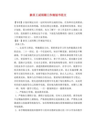 员工试用期工作规划书范文 