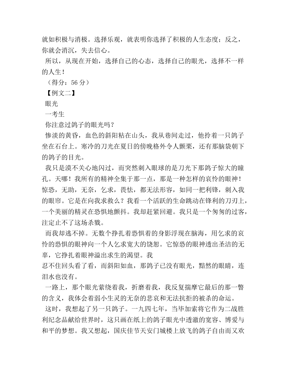 眼光,关于眼光的作文 _第3页