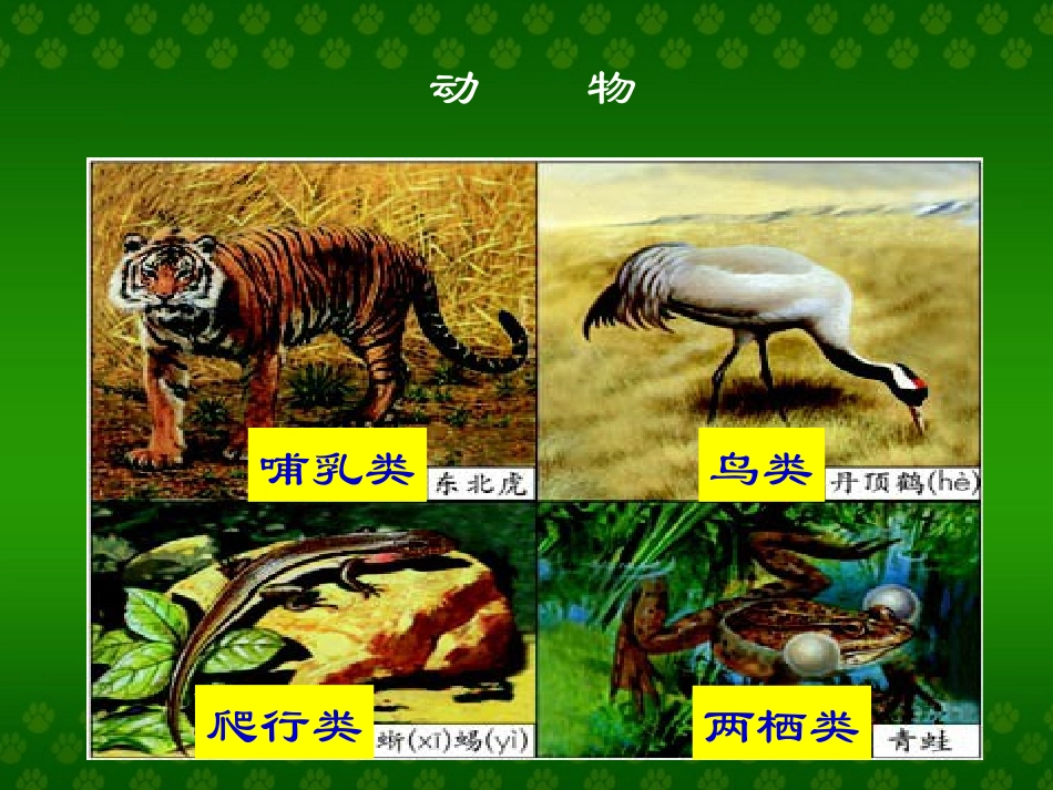 三年级两位数加两位数---第一课时_第3页