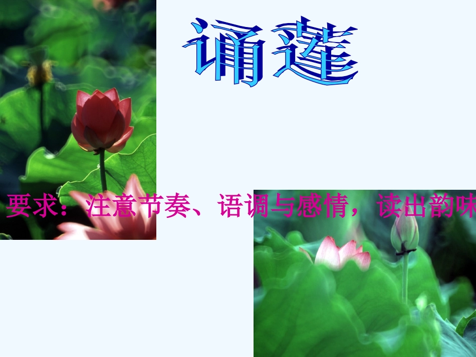 七年级语文上册 第26课《爱莲说》课件 鲁教版_第3页