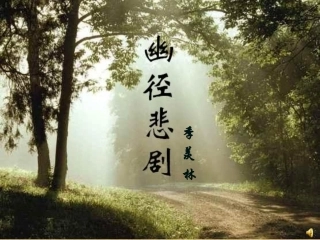 幽径悲剧PPT