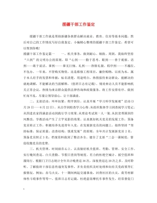 援疆干部工作鉴定 