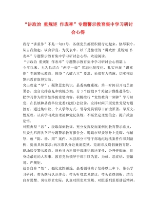 “讲政治 重规矩 作表率”专题警示教育集习研讨会心得 