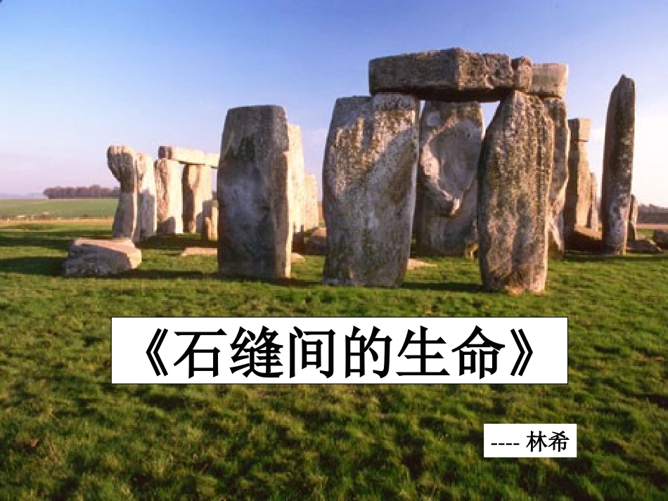 七年级语文上册《石缝间的生命》课件 上海五四制版_第1页