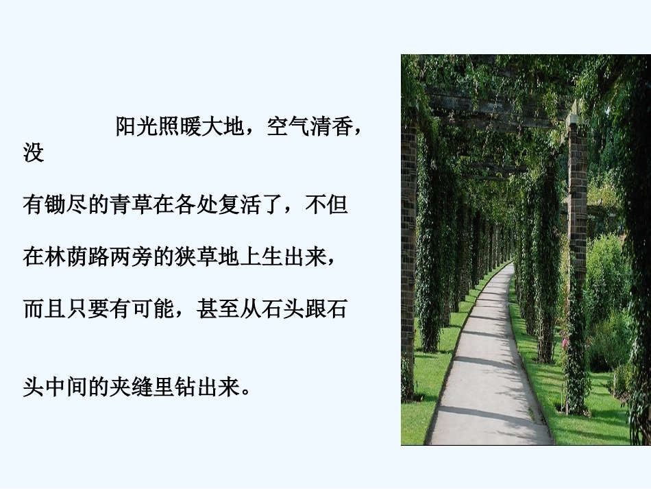 七年级语文上册《石缝间的生命》课件 上海五四制版_第2页