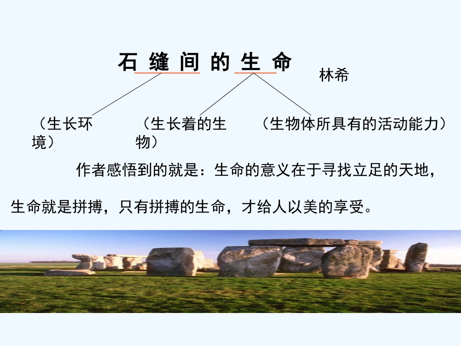 七年级语文上册《石缝间的生命》课件 上海五四制版_第3页