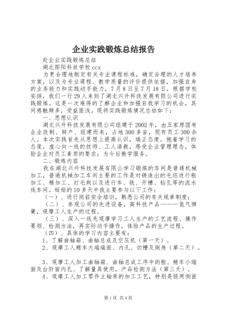 企业实践锻炼总结报告 (3)