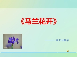 马兰花开课件