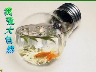 知道如何保护环境