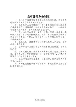 县审计局办公制度