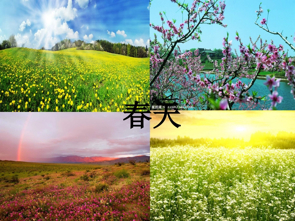 一师一优　　和我们一样享受春天_第1页