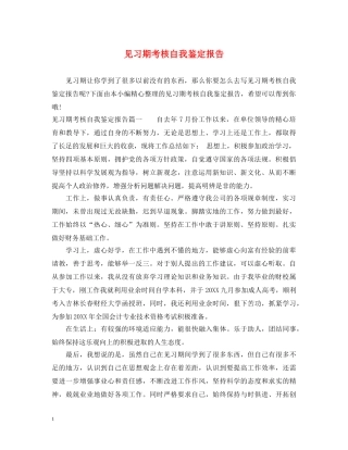 见习期考核自我鉴定报告 