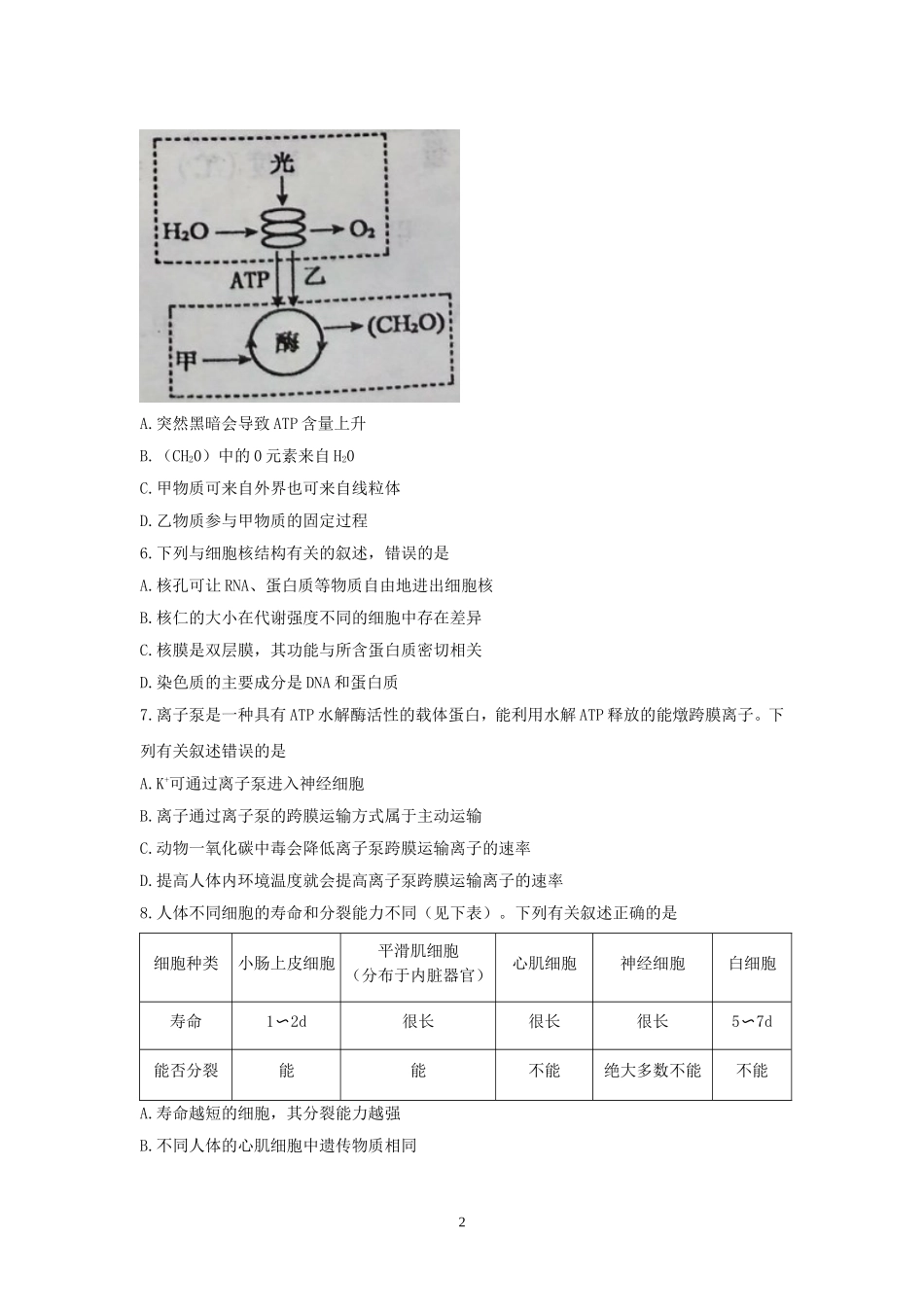 (生物)江苏省盐城市2018届高三第一学期期中统一考试生物试卷_第2页