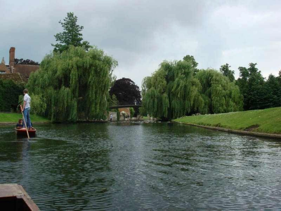 再别康桥 (9)_第3页