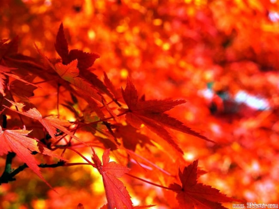 秋天的雨1-2_第2页