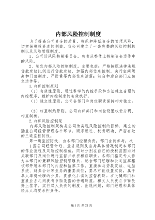 内部风险控制制度