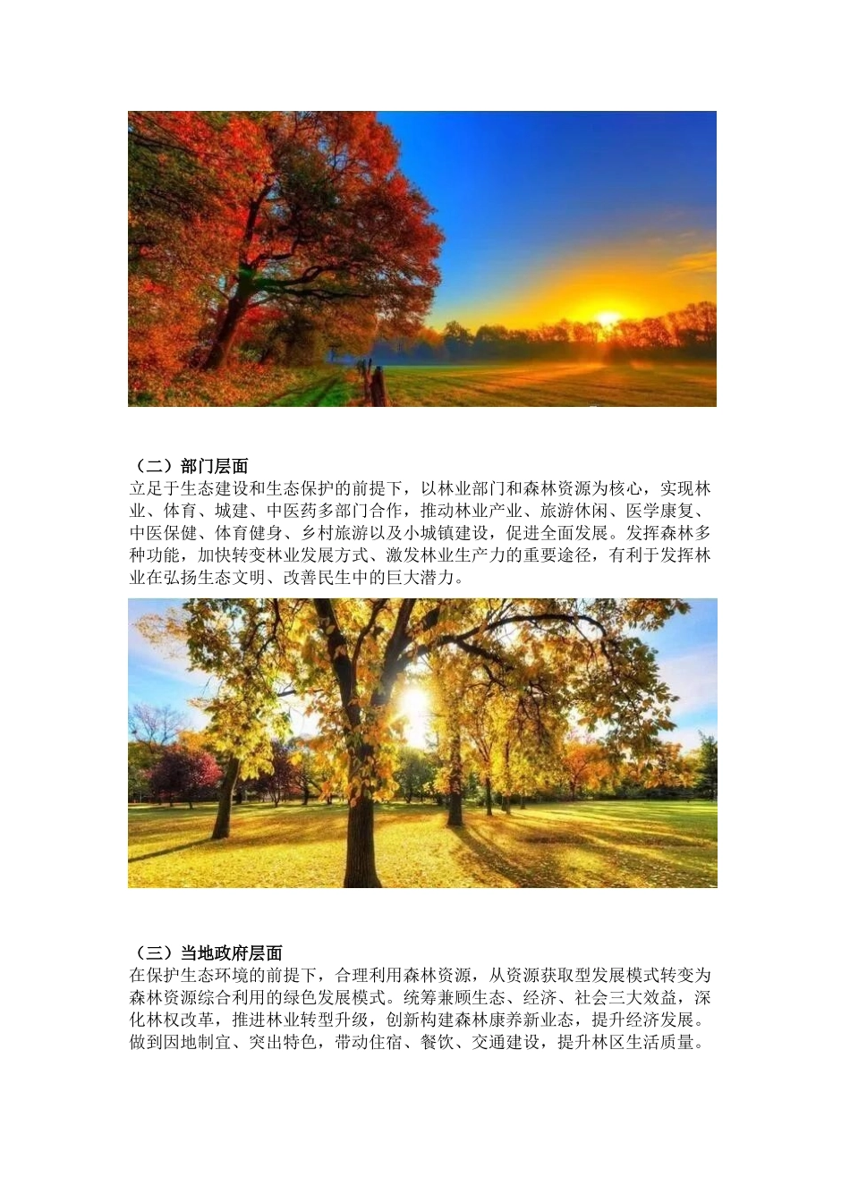 森林康养：项目规划要点与案例分析_第2页