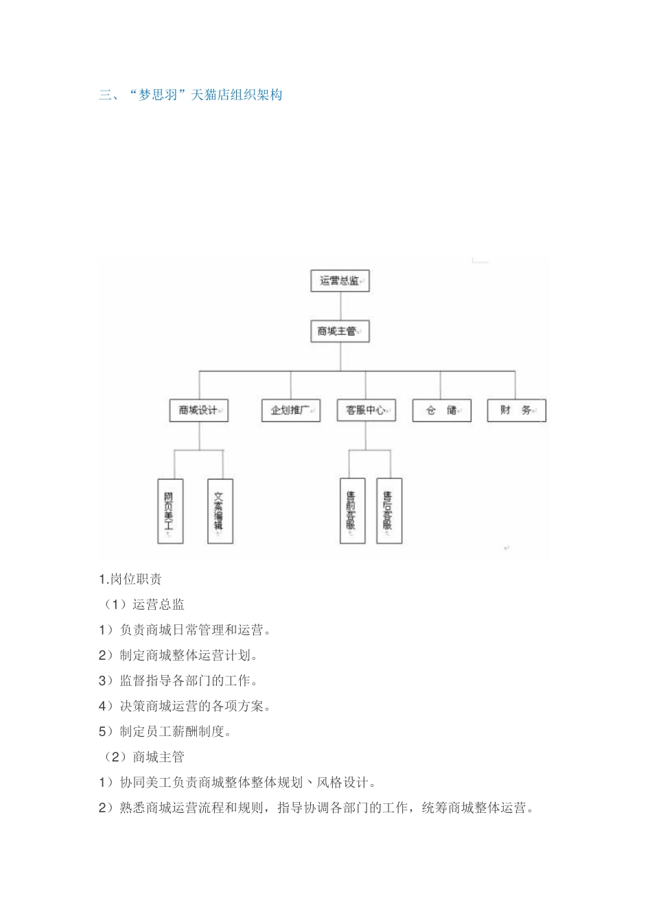 天猫店运营计划书_第2页