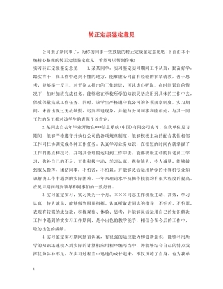 转正定级鉴定意见 