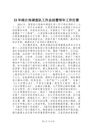 XX年统计局调查队工作总结暨明年工作打算