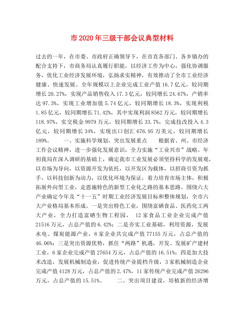 市2024年三级干部会议典型材料 _第1页