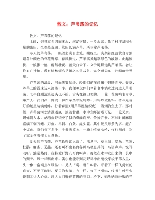 散文芦苇荡的记忆 