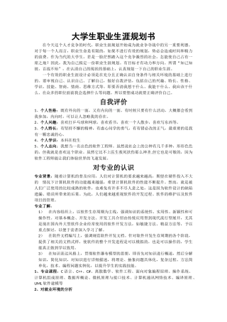 软件专业大学生职业生涯规划