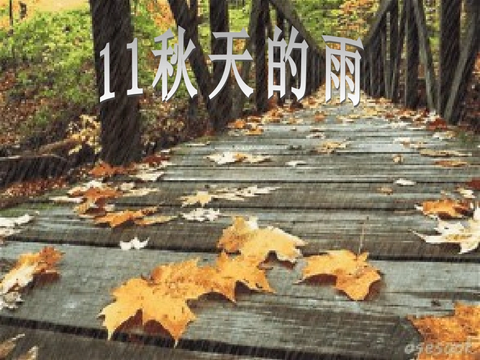 《秋天的雨》课件 (5)_第1页