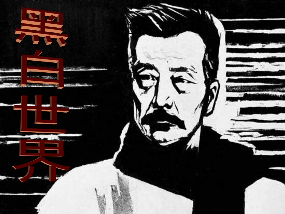 《黑白世界》课件4_第1页