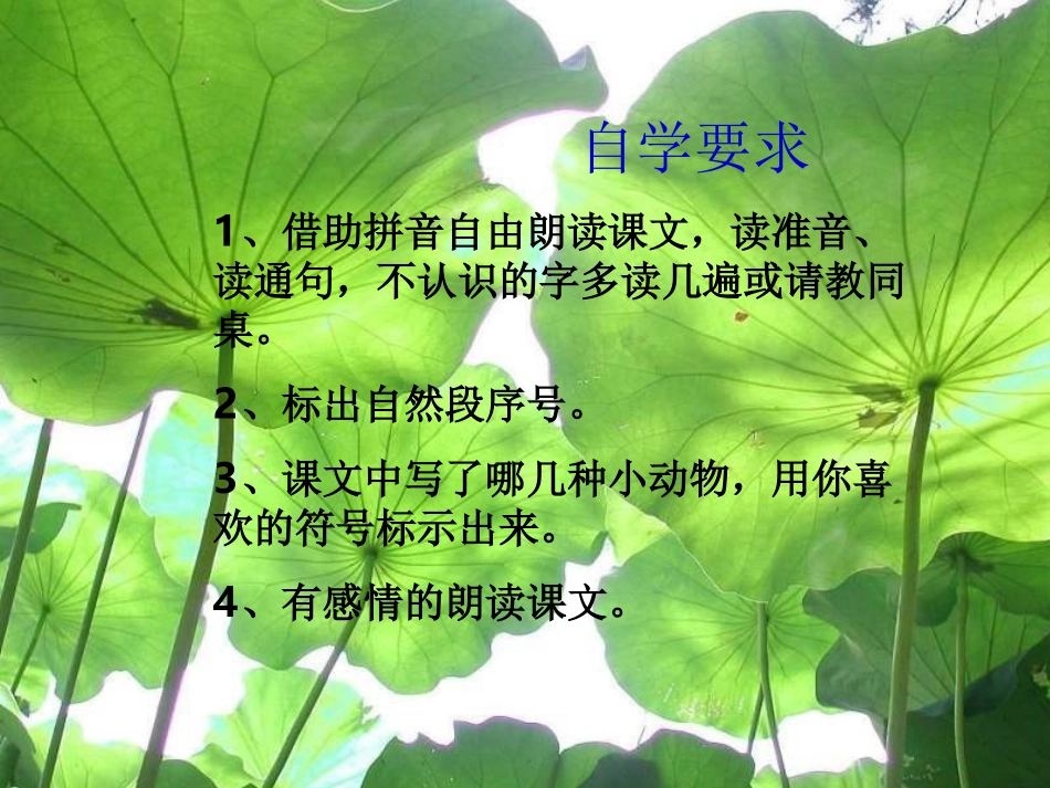 《荷叶圆圆》PPT课件_第3页