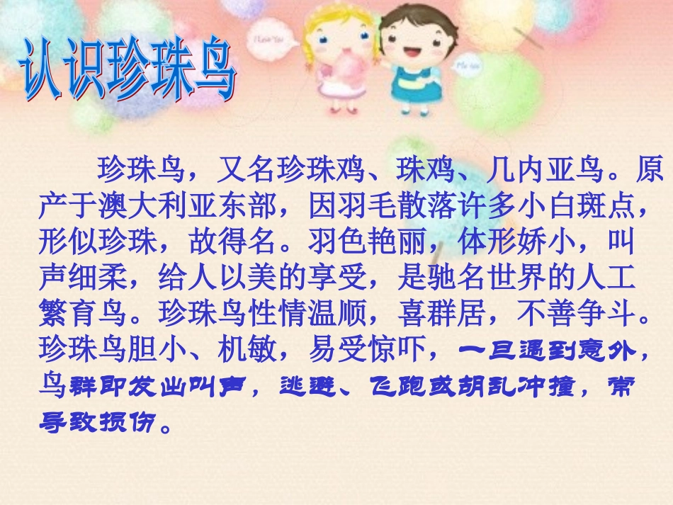 《珍珠鸟》课件1_第2页