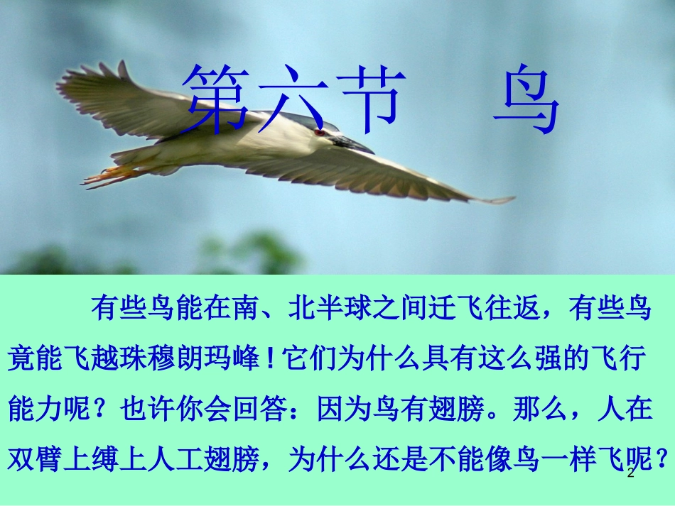 《鸟》教学课件1_第2页