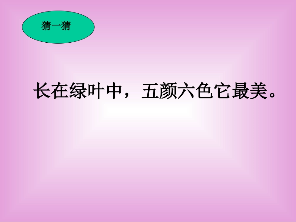 《鲜花和星星》PPT课件之一_第2页