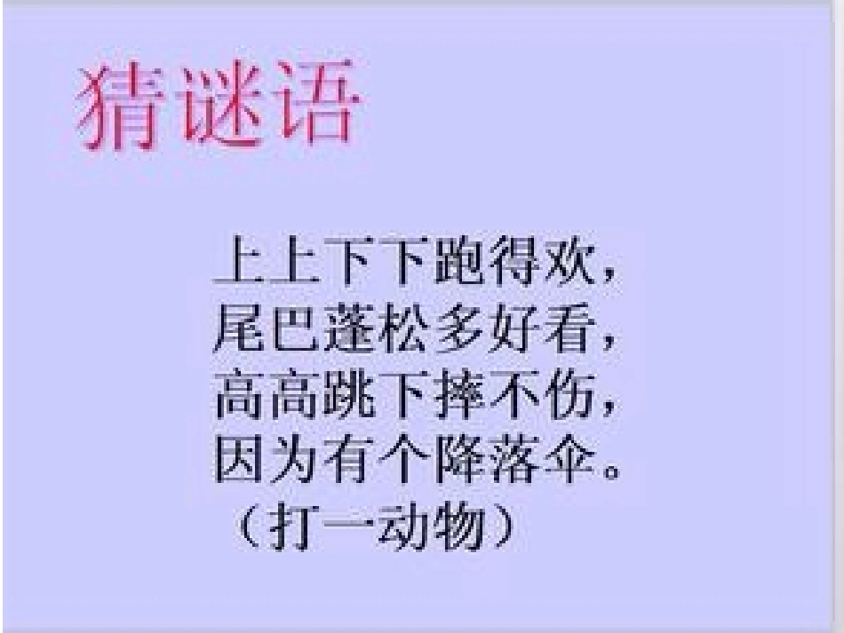《跑进家里的松鼠》课件_第1页