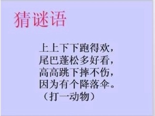 《跑进家里的松鼠》课件