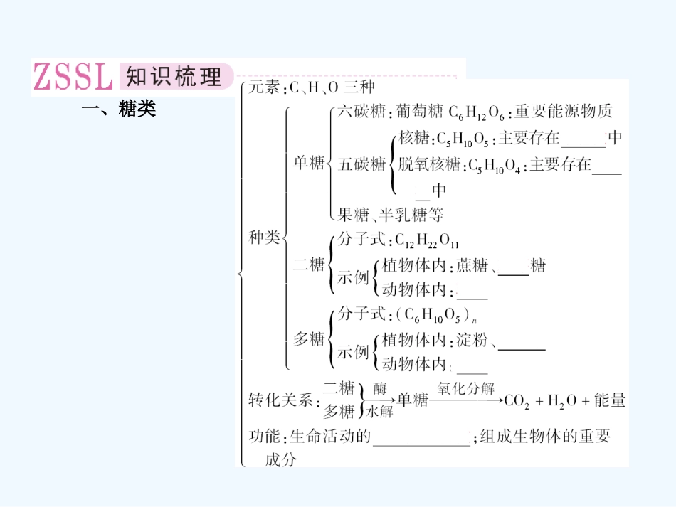 【精品】2011届高考生物第一轮复习经典学案 1-3 组成生物体的有机化合物课件_第3页