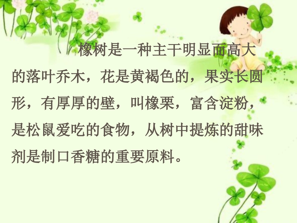 《路旁的橡树》课件3_第3页